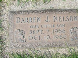 Darren J. Nelson Darren J. Nelson