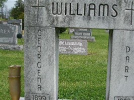 Dart Williams