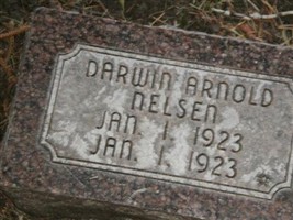 Darwin Arnold Nelson Darwin Arnold Nelson