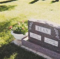 Darwin Bean Darwin Bean