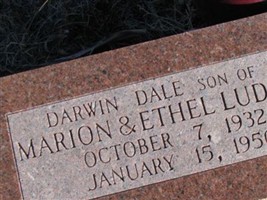 Darwin Dale Ludlow Darwin Dale Ludlow