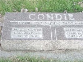 Darwin G. Condie Darwin G. Condie