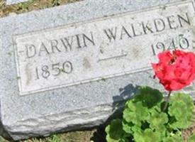 Darwin Walkden
