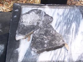 Daughter of Malcom and Martha Baggett Daughter of Malcom and Martha Baggett