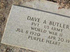 Dave A. Butler Dave A. Butler