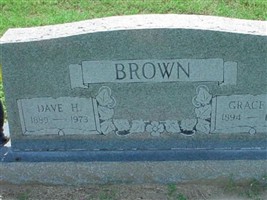 Dave H Brown