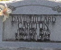 Dave Hillard Carlton