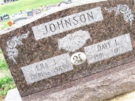 Dave L Johnson