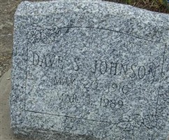 Dave S. Johnson