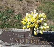 Dave Snodgrass