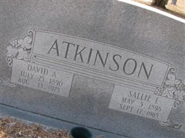 David A. Atkinson David A. Atkinson