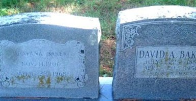 David A Baker David A Baker
