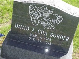 David A. CHA Border David A. CHA Border