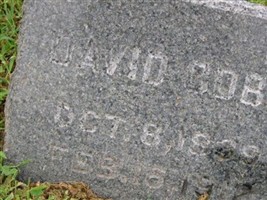 David A. Cobb David A. Cobb