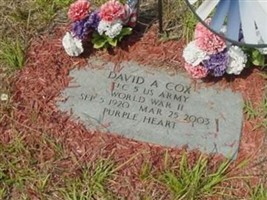 David A Cox David A Cox