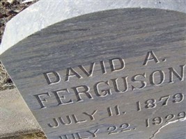 David A. Ferguson David A. Ferguson