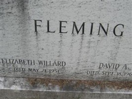 David A Fleming David A Fleming