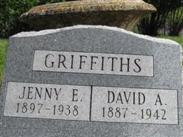 David A. Griffiths David A. Griffiths