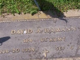 David A Hamann