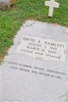 David A Hamlett