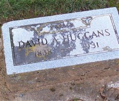 David A Huggins David A Huggins