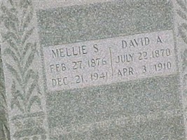 David A. Lucas David A. Lucas