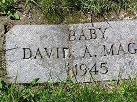 David A Magee