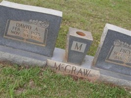 David A. McCraw David A. McCraw