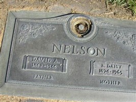 David A. Nelson David A. Nelson