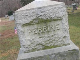 David A Perrine