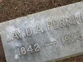 David A Perrine