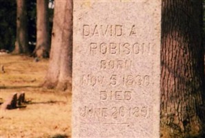 David A. Robison David A. Robison