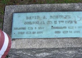 David A Schultz David A Schultz