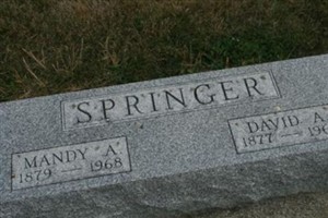 David A Springer David A Springer