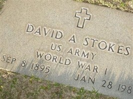 David A Stokes David A Stokes