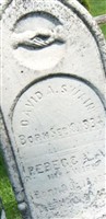David A Swain