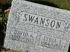 David A. Swanson David A. Swanson