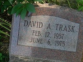 David A Trask David A Trask