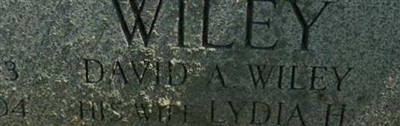 David A Wiley David A Wiley
