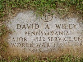 David A Wiley David A Wiley
