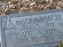 David A Wolf, Jr