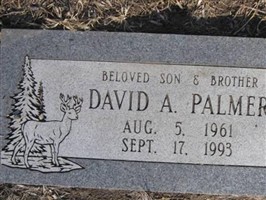 David Alaric Palmer David Alaric Palmer