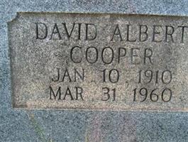 David Albert Cooper