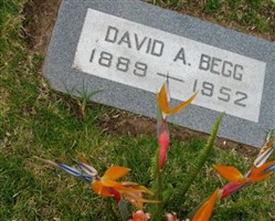 David Alexander Begg