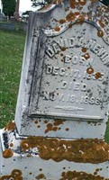 David Alexander Nevin