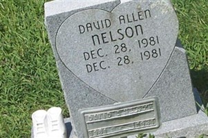 David Allen Nelson
