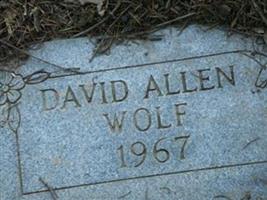 David Allen Wolf