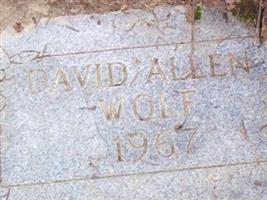 David Allen Wolf