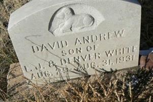 David Andrew White