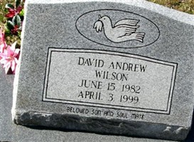 David Andrew Wilson David Andrew Wilson